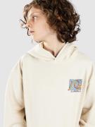 Quiksilver Drybridge Hoodie birch