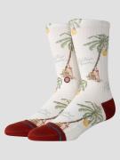 Stance Greetings From Socks canvas
