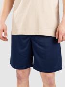 Blue Tomato Mesh Shorts blue