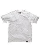 Dickies Pk T-Shirt white