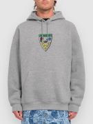 Volcom FA Fergadelic Hoodie heather grey
