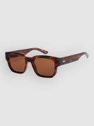 Quiksilver Time Box Shiny Tortoise Solglasögon brown
