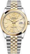 Rolex Damklocka 126203-0037 Datejust 36 Gulguldstonad/18 karat gult