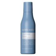 Björn Axén Repair Conditioner 75 ml