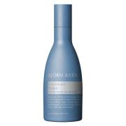 Björn Axén Repair Conditioner 250 ml