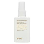 Evo Mister Fantastic Blowout Spray 50ml