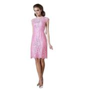 Moskada Elegant Kort Chantilly Spetsklänning Pink, Dam