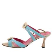 Manolo Blahnik Pre-owned Pre-owned Sandaler Blue, Dam