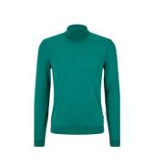 Hugo Boss Turtlenecks Green, Herr