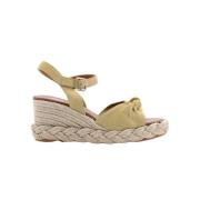 Viguera Wedges Yellow, Dam