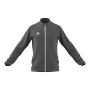 Adidas Sweatshirts Gray, Herr