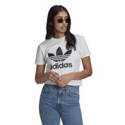 Adidas Ikonisk Trefoil Logo Tee White, Dam