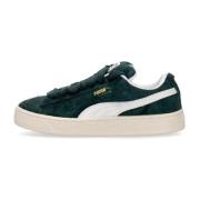 PUMA Suede Low Shoe med Oversize Snören Green, Herr