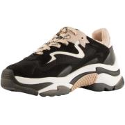 ASH Chunky Panelled Sneakers med Märkt Häl Black, Dam