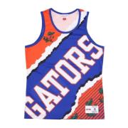 Mitchell & Ness Florida Gators Basketlinne Multicolor, Herr