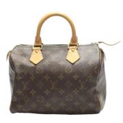 Louis Vuitton Vintage Pre-owned Canvas handvskor Brown, Dam