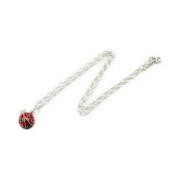 Tiffany & Co. Pre-owned Pre-owned Silver halsband Red, Dam