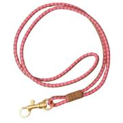 Bottega Veneta Vintage Pre-owned Laeder halsband Multicolor, Dam