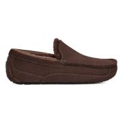 UGG Ascot tofflor Brown, Herr