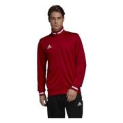 Adidas T19 Jacka Red, Herr