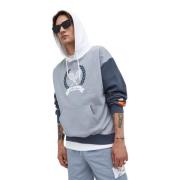 Ellesse Blå oversized hoody Gray, Herr