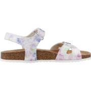 Geox Adriel Girl Platta Sandaler Multicolor, Dam