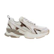 Steve Madden Guld Speedster Damskor Gray, Dam