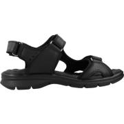 Panama Jack Platta Sandaler med Limrem Black, Herr