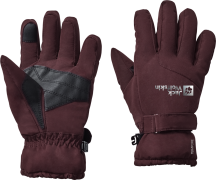 Kids' 2-Layer Winter Glove Boysenberry