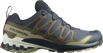 Salomon Men's XA 3D Pro V9 GORE-TEX Basic Blue