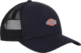 Dickies Hanston Trucker Black