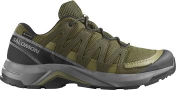 Salomon Men's X-Adventure Recon GORE-TEX Olive Night/martini Olive/pew...