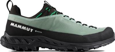 Mammut Men's Alnasca Iv Low Gtx  Deep Silver Sage-pinea