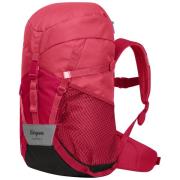 Bergans Kids' Lilletind 12L Light Alpine Rose/alpine Rose