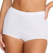 Damella Trosor Classic Cotton Maxi Brief Vit bomull Small Dam