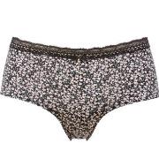 Trofe Laila Brief Trosor Svart Small Dam