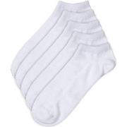 Pierre Robert Strumpor 5P Low Cut Socks Vit Strl 41/45