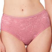 Triumph Trosor Amourette Charm T Maxi 02 Rosa 38 Dam