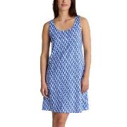 Calida Shell Nights Nightdress Blå/Vit bomull Small Dam