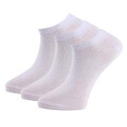 Trofe Cotton Sneaker Socks Strumpor 3P Vit Strl 39/42 Dam