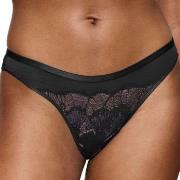 Triumph Trosor Palina Moonlight Kiss Brazilian Brief Svart polyamid 38...