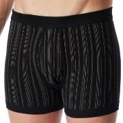 Schiesser Kalsonger 2P Original Classics Boxers 3XL-4XL Svart bomull 3...
