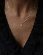Muli Collection - Silver - Charm Necklace