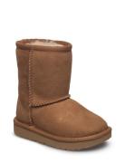 UGG T Classic Ii Brun