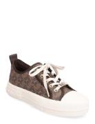 Michael Kors Evy Lace Up Brun