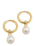 Syster P Treasure Pearl Hoops Gold Guld