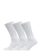 Claudio Claudio Socks Tennis 3-Pack Vit