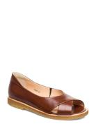 ANGULUS Sandals - Flat - Open Toe - Clo Brun