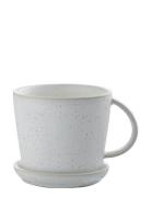 ERNST Cup W Saucer Vit