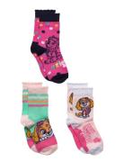 Paw Patrol Socks Multi/patterned